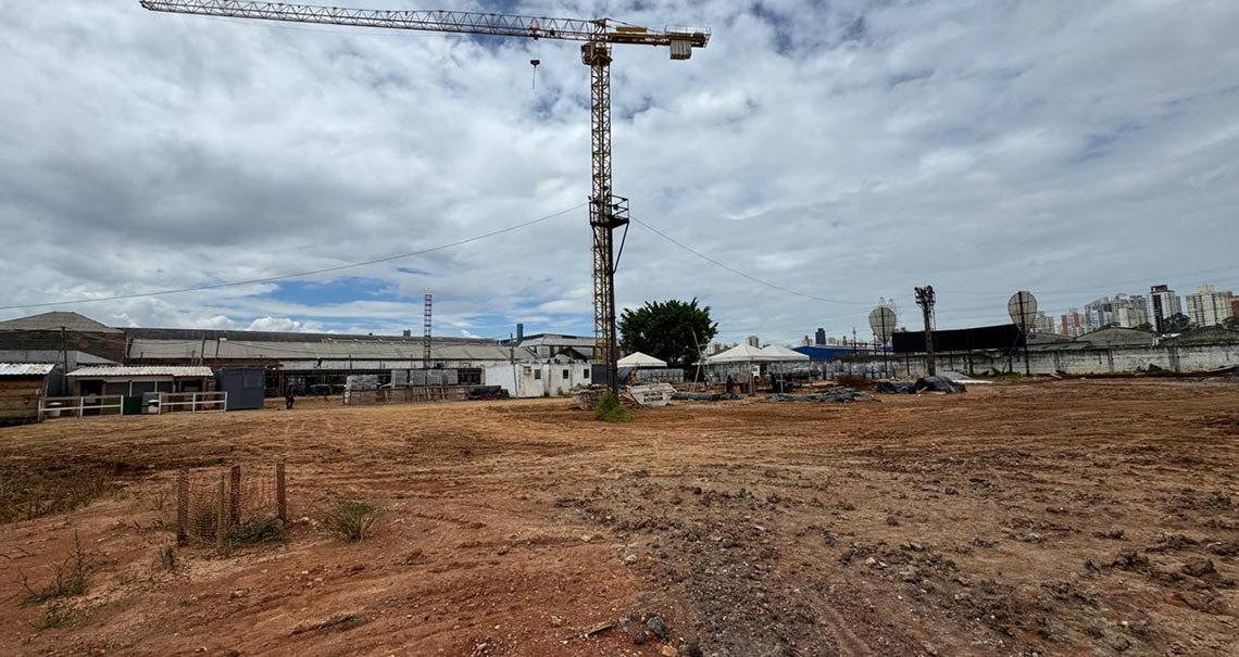 Grua em funcionamento